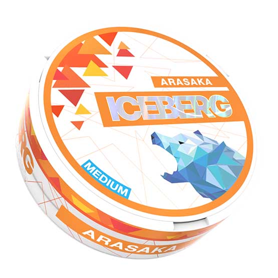 
                  
                    ICEBERG - Arasaka Medium
                  
                