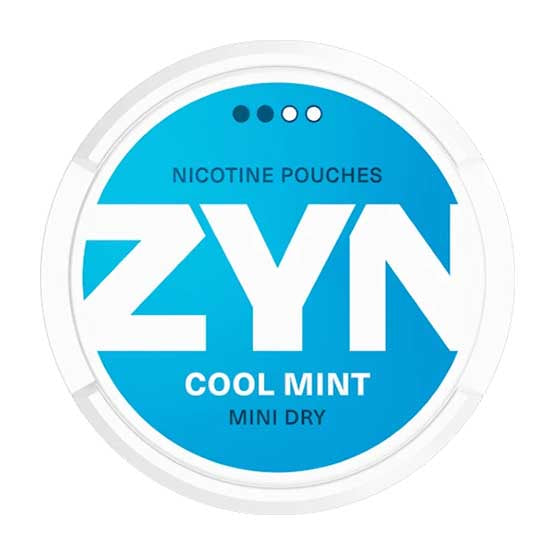 ZYN - Cool Mint No.2 (Mini dry)