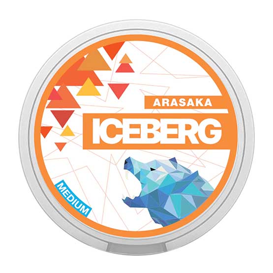 
                  
                    ICEBERG - Arasaka Medium
                  
                